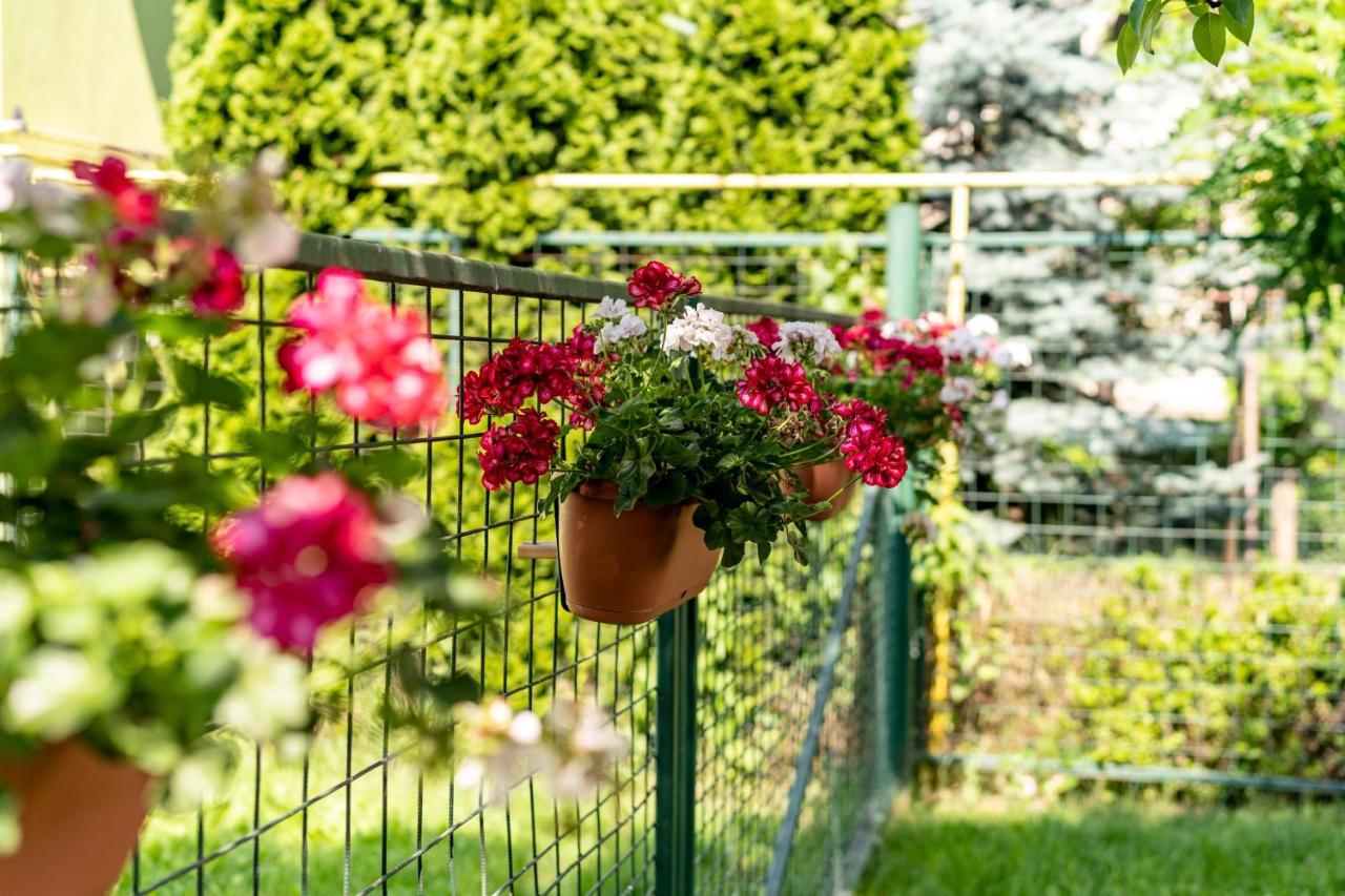 Lilla Apartments Székelyudvarhely Kültér fotó